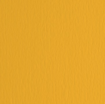 Cartoncino Elle Erre - 70x100cm - 220gr - avana 103 - Fabriano - blister 10 fogli
