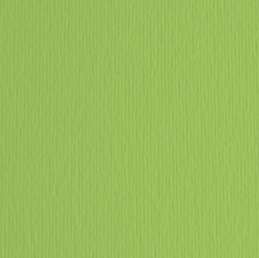 Cartoncino Elle Erre - 70x100cm - 220gr - verde pisello 110 - Fabriano - blister 10 fogli