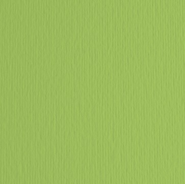 Cartoncino Elle Erre - 70x100cm - 220gr - verde pisello 110 - Fabriano - blister 10 fogli