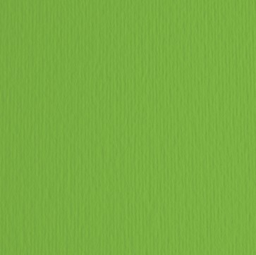 Cartoncino Elle Erre - 70x100cm - 220gr - verde 111 - Fabriano - blister 10 fogli