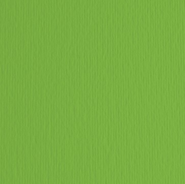 Cartoncino Elle Erre - 70x100cm - 220gr - verde 111 - Fabriano - blister 10 fogli