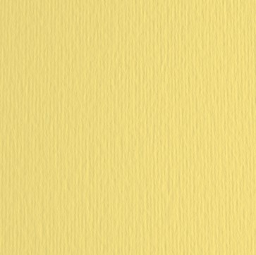 Cartoncino Elle Erre - 70x100cm - 220gr - onice 117 - Fabriano - blister 10 fogli