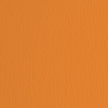 Cartoncino Elle Erre - 50x70cm - 220gr - arancio 108 - Fabriano -  blister 20 fogli