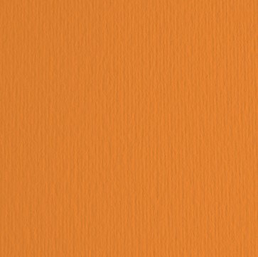 Cartoncino Elle Erre - 50x70cm - 220gr - arancio 108 - Fabriano -  blister 20 fogli