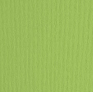 Cartoncino Elle Erre - 50x70cm - 220gr - verde pisello 110 - Fabriano -  blister 20 fogli