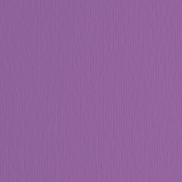 Cartoncino Elle Erre - 50x70cm - 220gr - viola 104 - Fabriano - blister 20 fogli