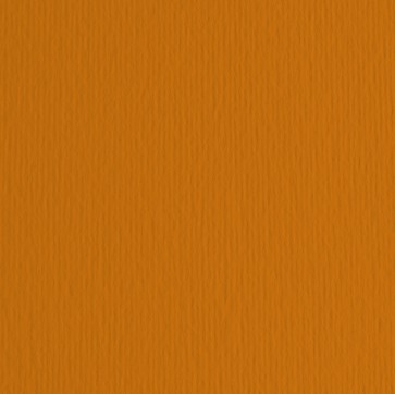 Cartoncino Elle Erre - 50x70cm - 220gr - terra bruciata 119 - Fabriano -  blister 20 fogli