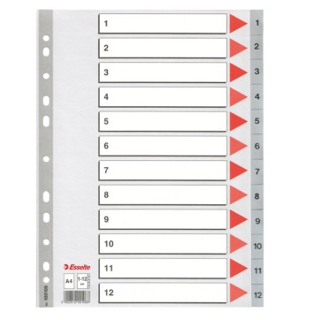 Separatore numerico 1/12 - PPL - A4 - 22,5x29,7 cm - grigio - Esselte