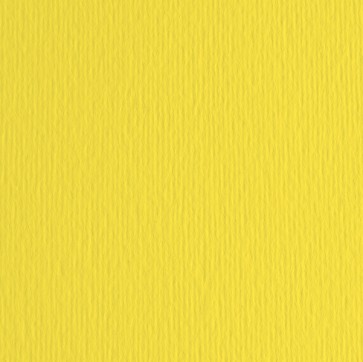 Cartoncino Elle Erre - 70x100cm - 220gr - cedro 125 - Fabriano - blister 10 fogli