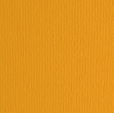 Cartoncino Elle Erre - 70x100cm - 220gr - aragosta 126 - Fabriano - blister 10 fogli