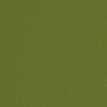 Cartoncino Elle Erre - 50x70cm - 220gr - verdone 28 - Fabriano - blister 20 fogli