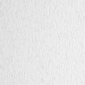 Cartoncino Elle Erre - 70x100cm - 220gr - brina 129 - Fabriano - blister 10 fogli