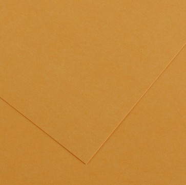 Foglio Colorline - 70x100 cm - 220 gr - cuoio - Canson