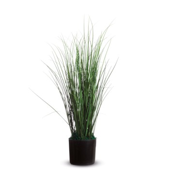 Pianta ornamentale - erba - H 55cm - Alco