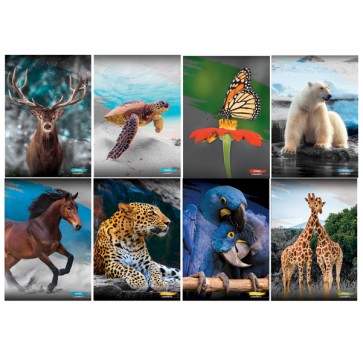 Maxiquaderno Animal 2022 - A4 - 1 rigo - c/margine - 21 fogli - 80 gr - Blasetti