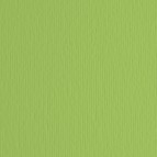 Cartoncino Elle Erre - 70x100cm - 220gr - verde pisello 110 - Fabriano - blister 10 fogli