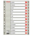Separatore mensile Gen/Dic - PPL - A4 - grigio - Esselte