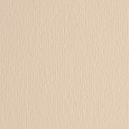 Cartoncino Elle Erre - 50x70cm - 220gr - panna 101 - Fabriano - blister 20 fogli