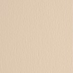 Cartoncino Elle Erre - 50x70cm - 220gr - panna 101 - Fabriano - blister 20 fogli