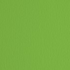 Cartoncino Elle Erre - 50x70cm - 220gr - verde 111 - Fabriano -  blister 20 fogli