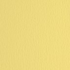 Cartoncino Elle Erre - 50x70cm - 220gr - onice 117 - Fabriano -  blister 20 fogli
