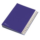 Classificatore numerico 1/31 - 643D - 24x34 cm - blu - Fraschini