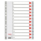 Separatore numerico 1/12 - PPL - A4 - 22,5x29,7 cm - grigio -Esselte