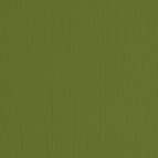 Cartoncino Elle Erre - 70x100cm - 220gr - verdone 128 - Fabriano - blister 10 fogli