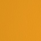 Cartoncino Elle Erre - 50x70cm - 220gr - aragosta 26 - Fabriano - blister 20 fogli
