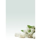 Carta con stampa ''rosa bianca'' - A4 - 90 gr - Decadry - conf. 20 fogli