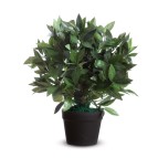 Pianta ornamentale - lauro - H50cm - Paperflow