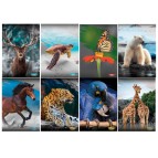 Maxiquaderno Animal 2022 - A4 - rigo di 1a - 21 fogli - 80 gr - Blasetti