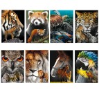 Maxiquaderno Animals 2023 - A4 - 1 rigo - 21 fogli - 80 gr - Blasetti